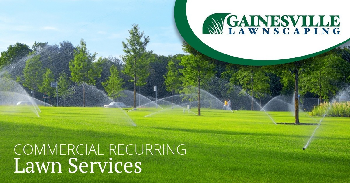 Commercial Recurring Lwan Services