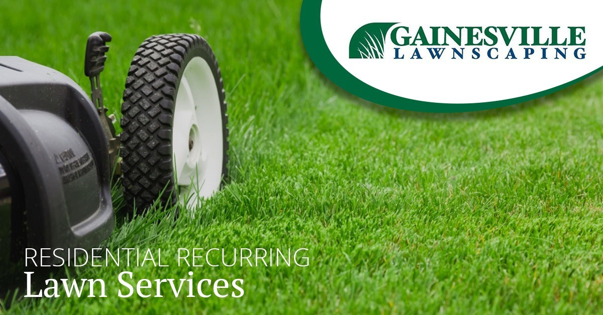 Residential Lawn Services
