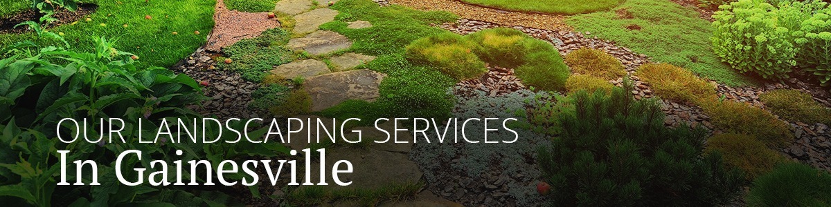 Our Landscaping Services In Gainseville