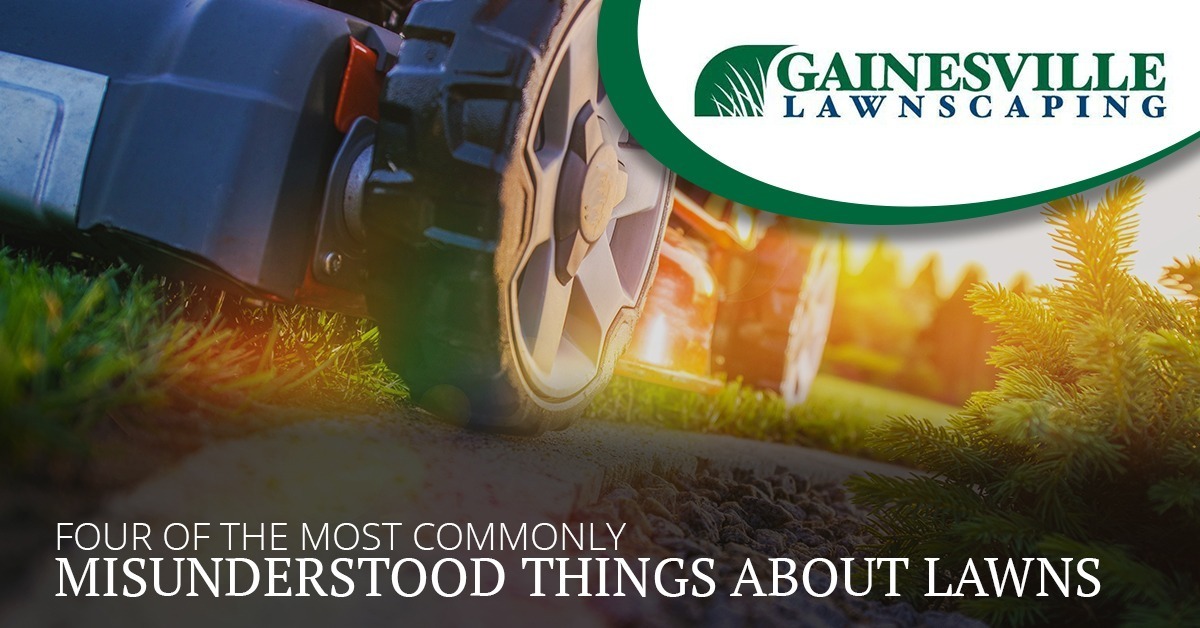 FOUR-OF-THE-MOST-COMMONLY-MISUNDERSTOOD-THINGS-ABOUT-LAWNS-5bf572aa3b9e3