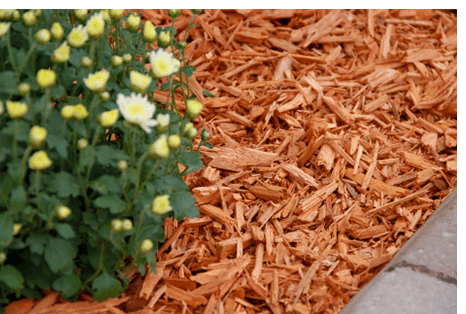 Mulch