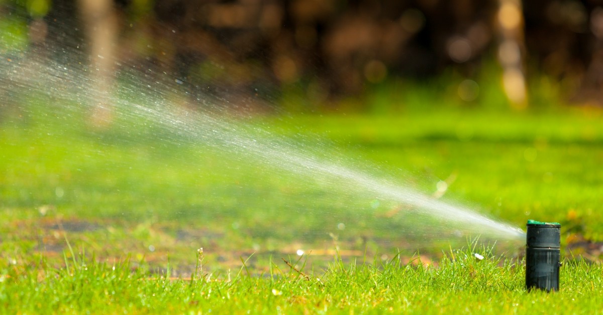 banner-3-5cd3306cd52c5