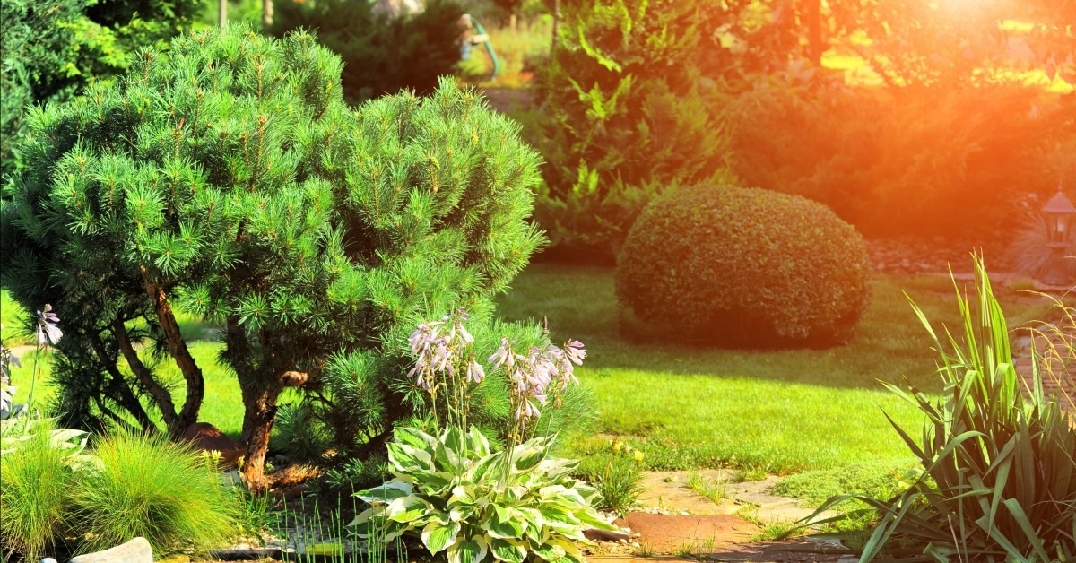 banner-29-5d27933469c74