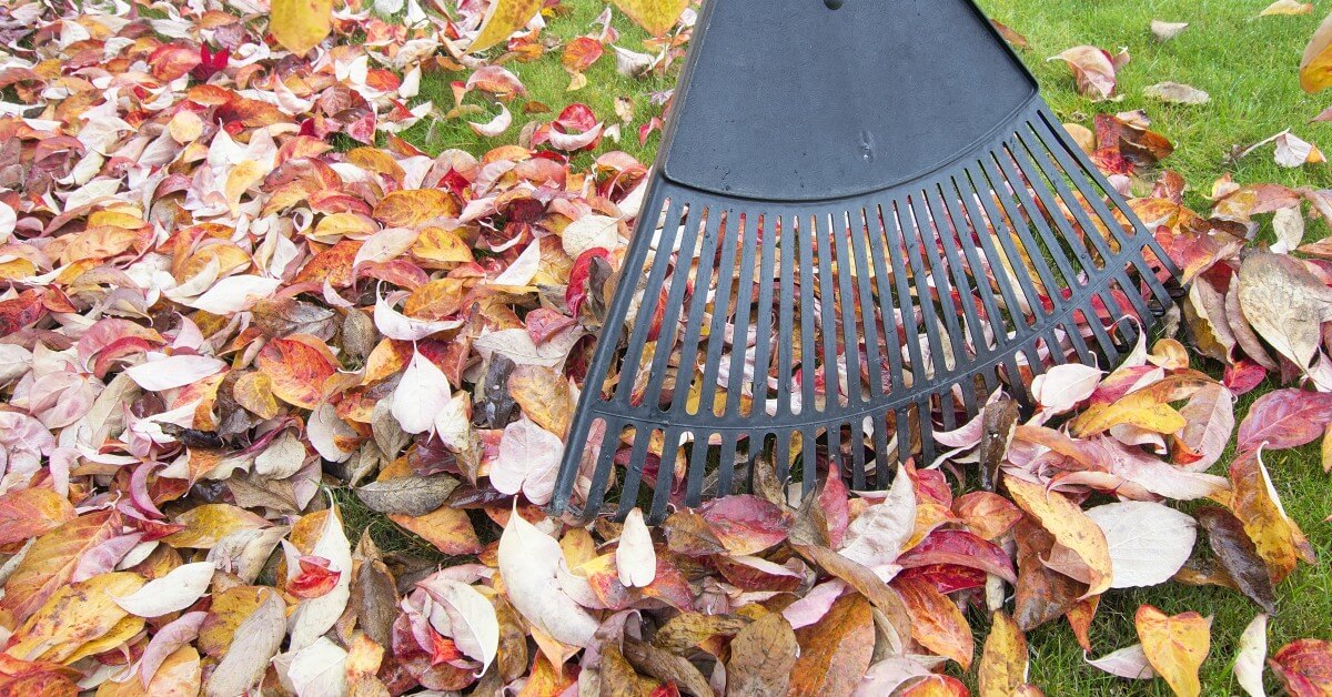 Sustainable-Lawn-Care-1-5da509508cc3a