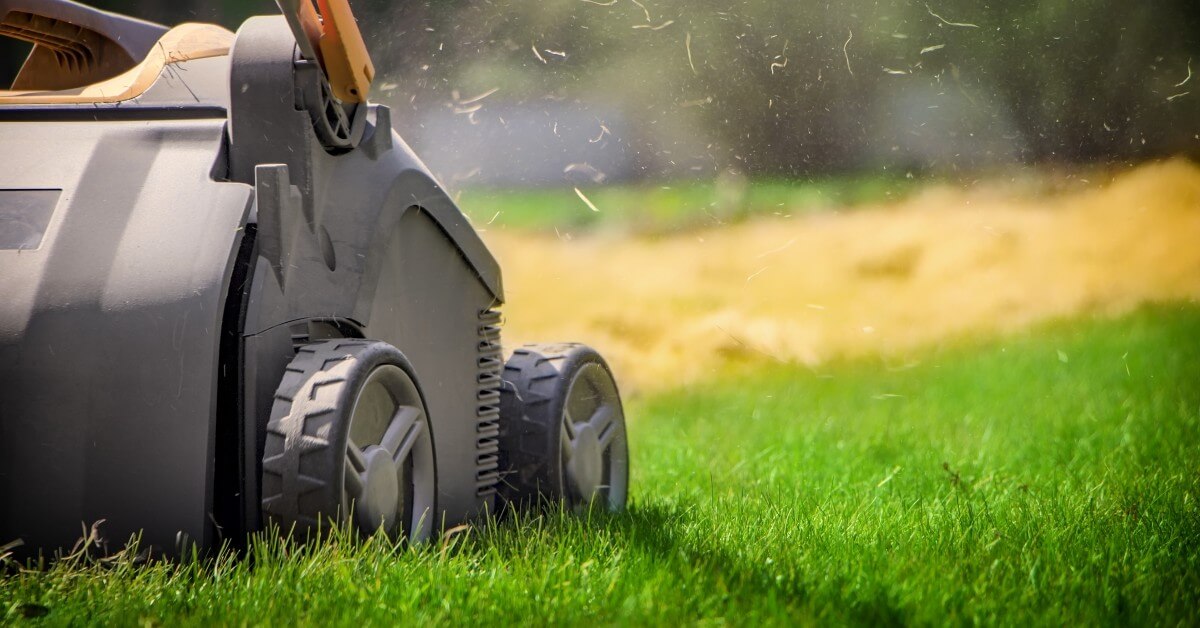 Winterizing-Your-Lawn-1-5df901bb5e85d