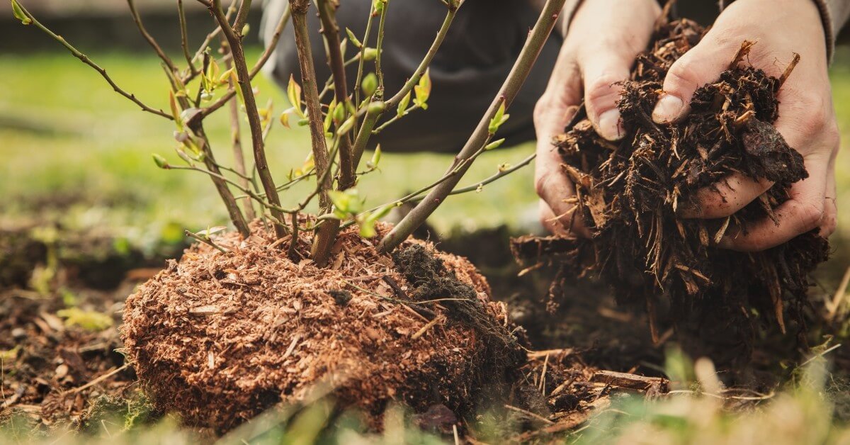 Benefits-of-Mulch-1-5df90202618e0