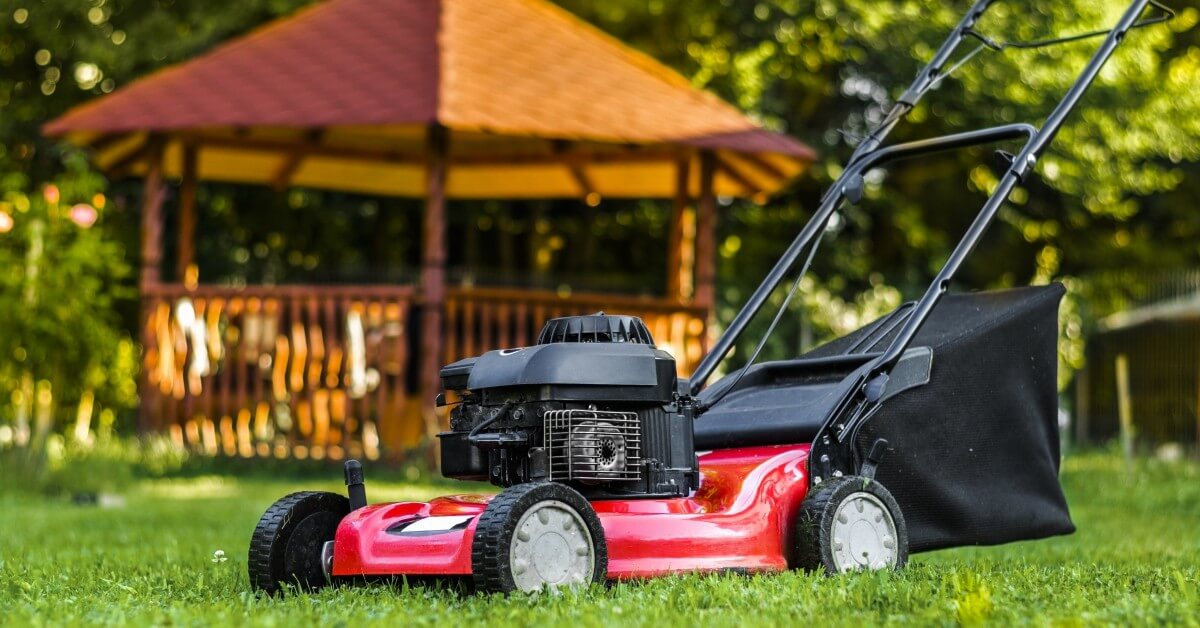 Professional-Lawn-Care-Services-1-5e1e7caa37ef0
